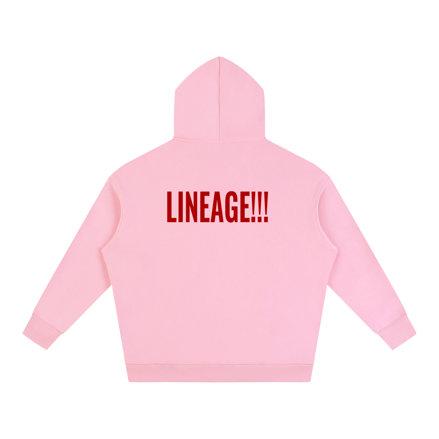 FBA NO FLEE ZONE Oversize Fleeced Hoodie