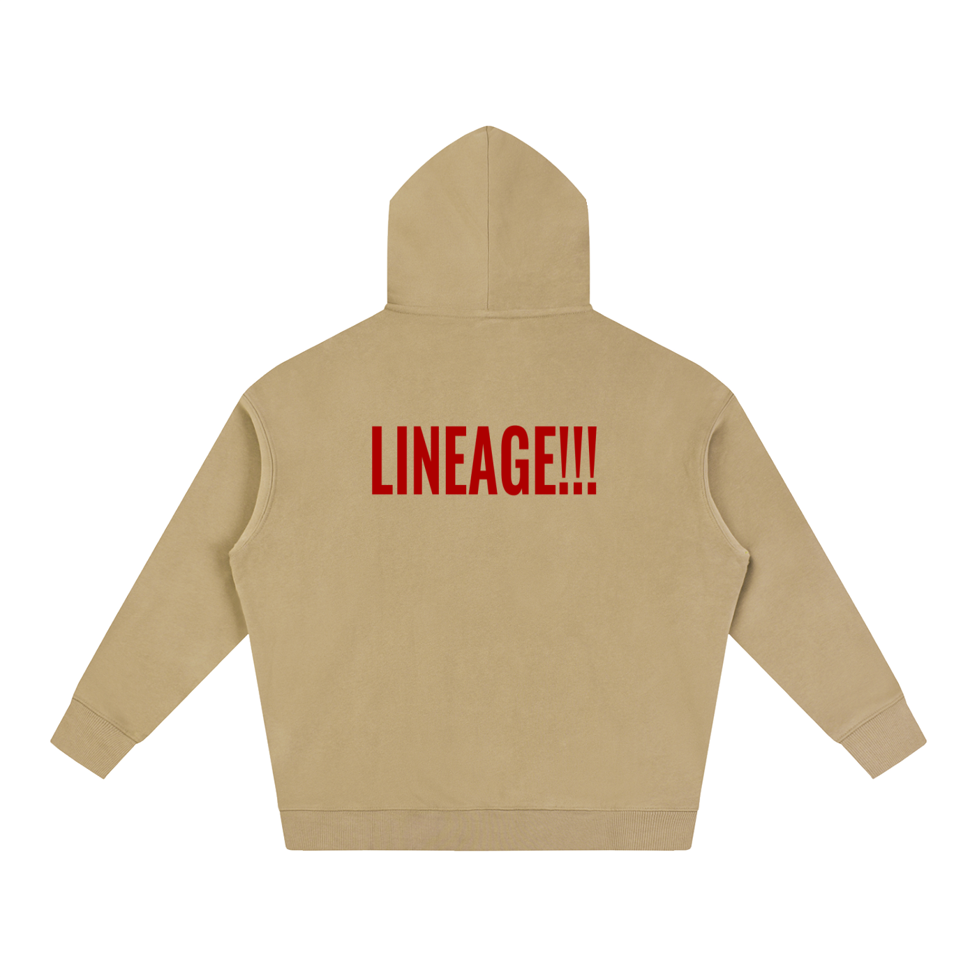 FBA NO FLEE ZONE Oversize Fleeced Hoodie