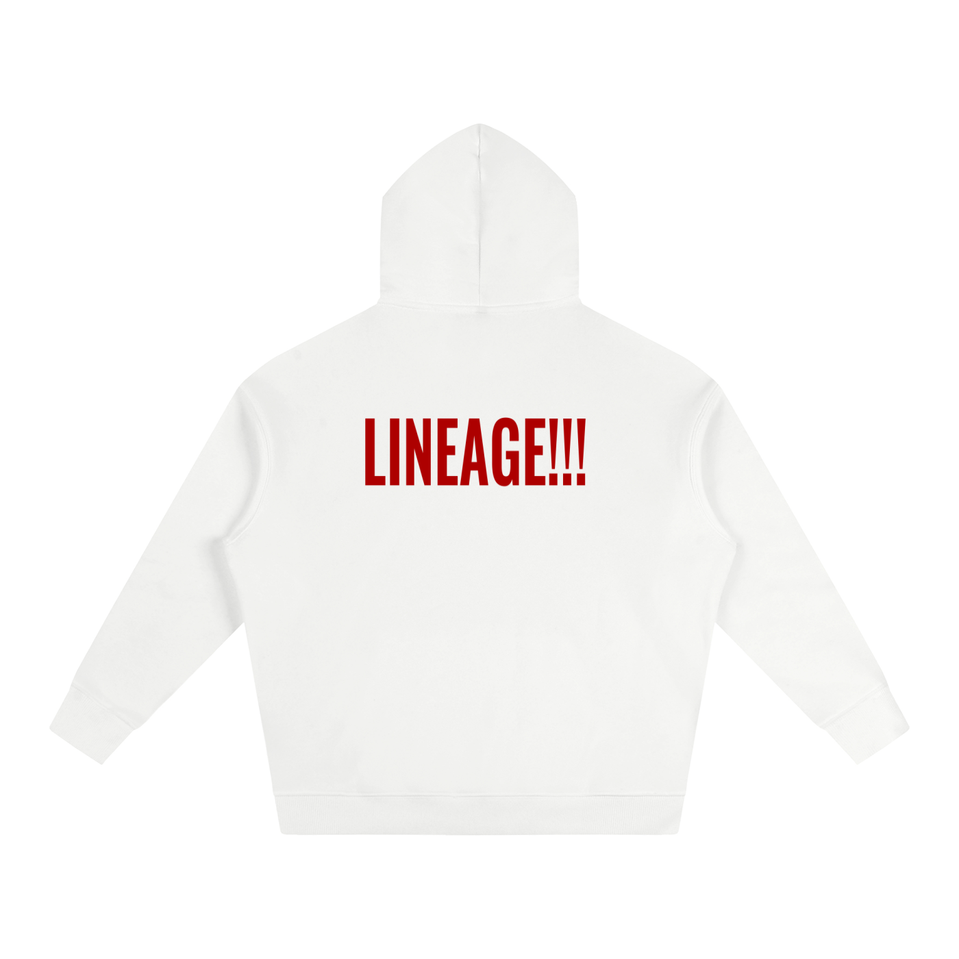 FBA NO FLEE ZONE Oversize Fleeced Hoodie
