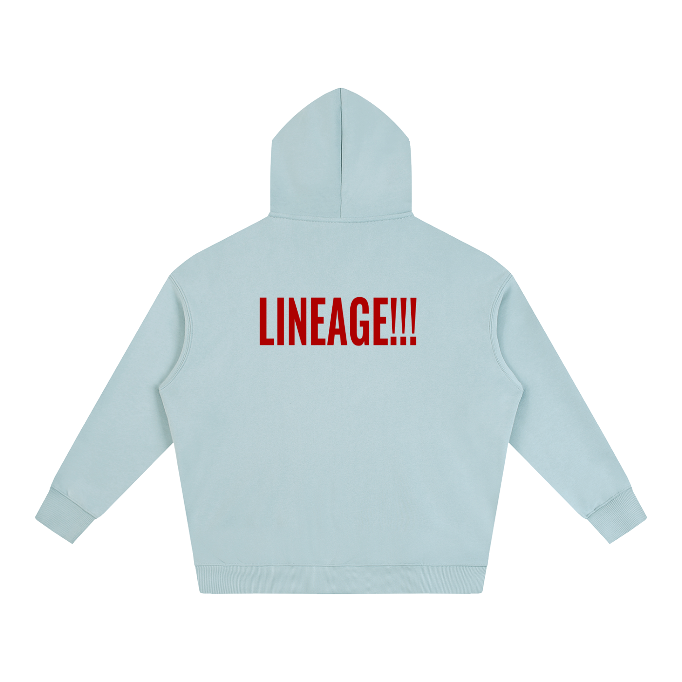 FBA NO FLEE ZONE Oversize Fleeced Hoodie